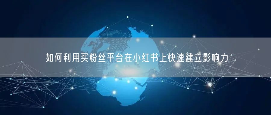 如何利用买粉丝平台在小红书上快速建立影响力