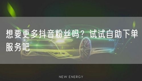 想要更多抖音粉丝吗?试试自助下单服务吧