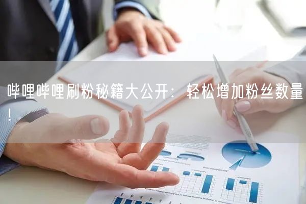 哔哩哔哩刷粉秘籍大公开：轻松增加粉丝数量！