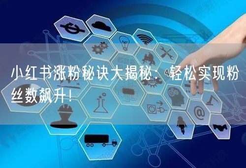 小红书涨粉秘诀大揭秘：轻松实现粉丝数飙升！