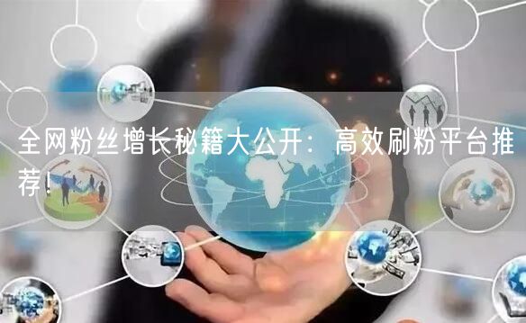 全网粉丝增长秘籍大公开：高效刷粉平台推荐！
