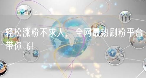 轻松涨粉不求人，全网最热刷粉平台带你飞！