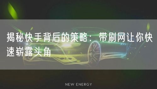 揭秘快手背后的策略：带刷网让你快速崭露头角