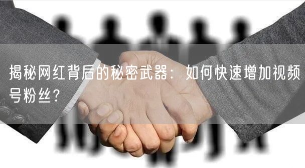 揭秘网红背后的秘密武器：如何快速增加视频号粉丝？