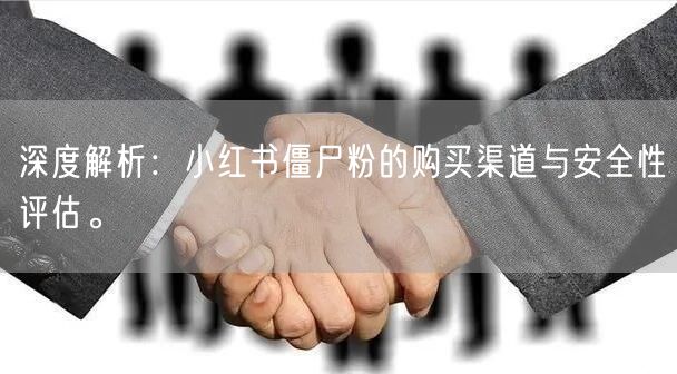 深度解析：小红书僵尸粉的购买渠道与安全性评估。