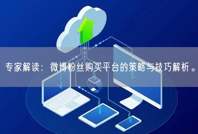 专家解读：微博粉丝购买平台的策略与技巧解析。