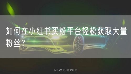 如何在小红书买粉平台轻松获取大量粉丝？
