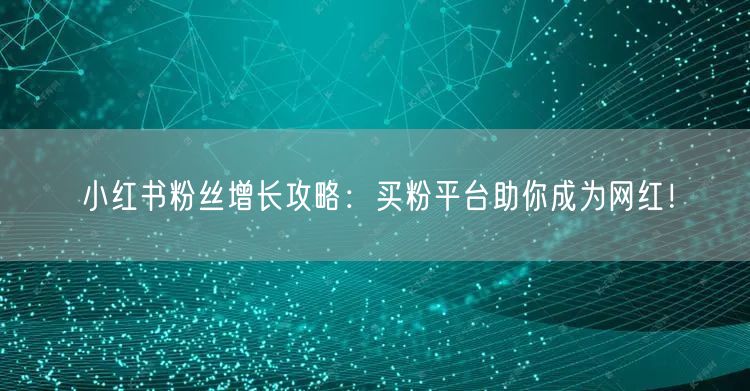 小红书粉丝增长攻略：买粉平台助你成为网红！