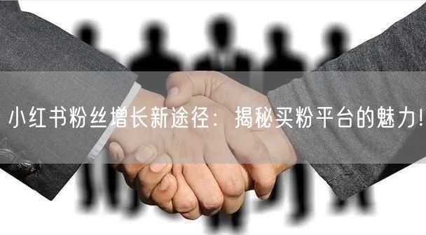 小红书粉丝增长新途径：揭秘买粉平台的魅力！
