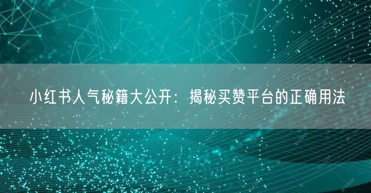 小红书人气秘籍大公开：揭秘买赞平台的正确用法