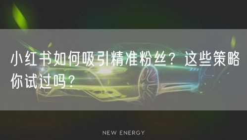 小红书如何吸引精准粉丝？这些策略你试过吗？