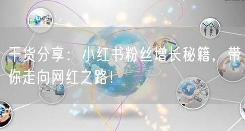 干货分享：小红书粉丝增长秘籍，带你走向网红之路！