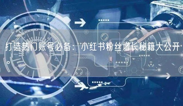 打造热门账号必备：小红书粉丝增长秘籍大公开。