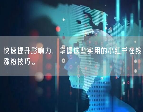 快速提升影响力，掌握这些实用的小红书在线涨粉技巧。