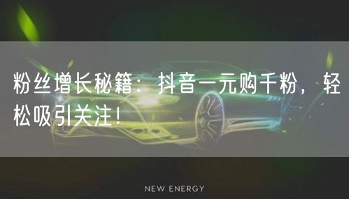 粉丝增长秘籍：抖音一元购千粉，轻松吸引关注！