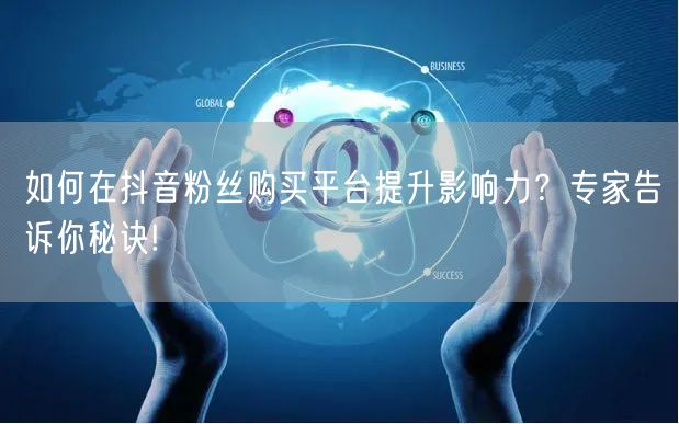 如何在抖音粉丝购买平台提升影响力？专家告诉你秘诀!