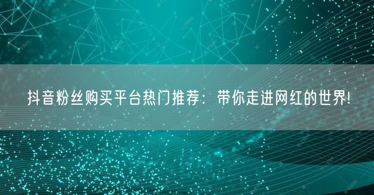 抖音粉丝购买平台热门推荐：带你走进网红的世界!