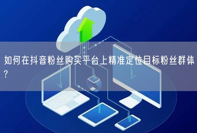 如何在抖音粉丝购买平台上精准定位目标粉丝群体?