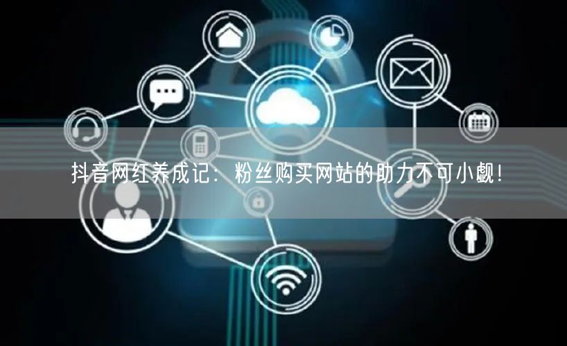 抖音网红养成记：粉丝购买网站的助力不可小觑！