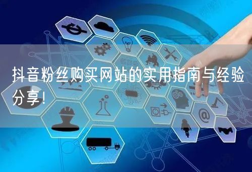 抖音粉丝购买网站的实用指南与经验分享！
