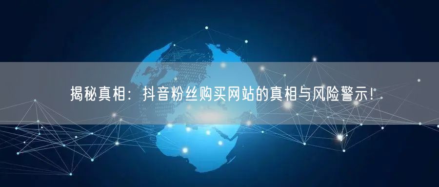 揭秘真相：抖音粉丝购买网站的真相与风险警示！