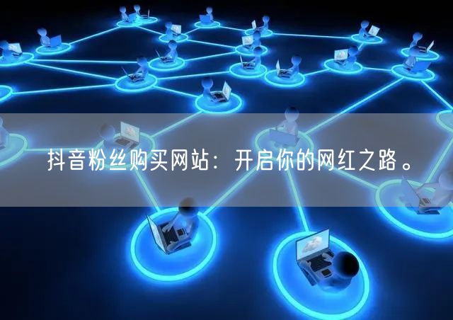 抖音粉丝购买网站：开启你的网红之路。