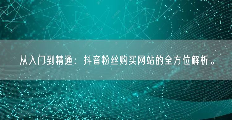 从入门到精通：抖音粉丝购买网站的全方位解析。