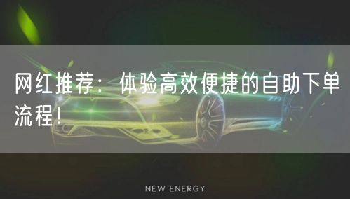 网红推荐：体验高效便捷的自助下单流程！