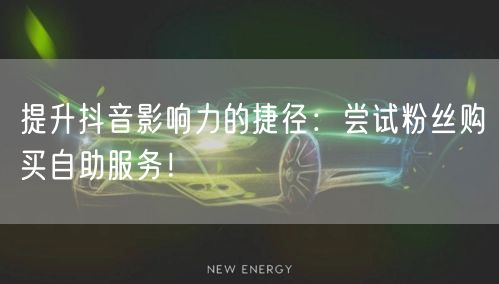 提升抖音影响力的捷径：尝试粉丝购买自助服务！