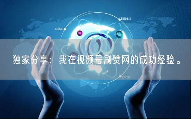 独家分享：我在视频号刷赞网的成功经验。